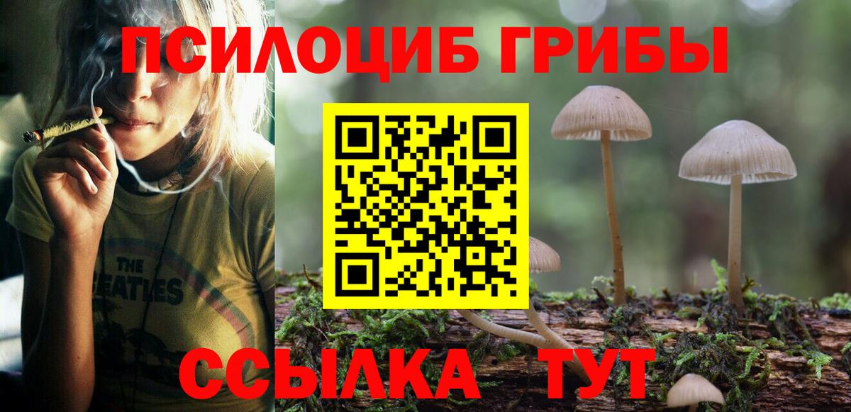 что такое   Вход с VPN  Псилоцибиновые грибы Psilocybine cubensis  Сланцы  Псилоцибиновые грибы Cubensis 
